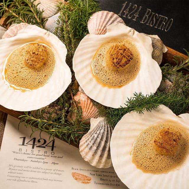 Scallop Shell.
